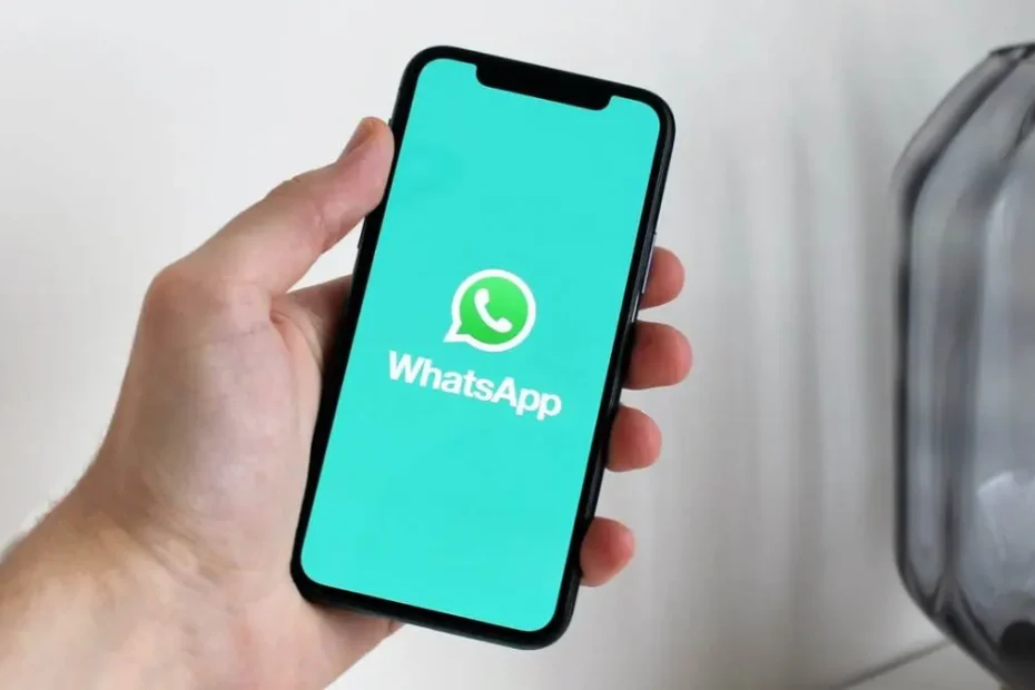 instalare aplicatia whatsapp